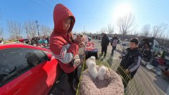 新春走基层|“毛孩子”带火小镇经济