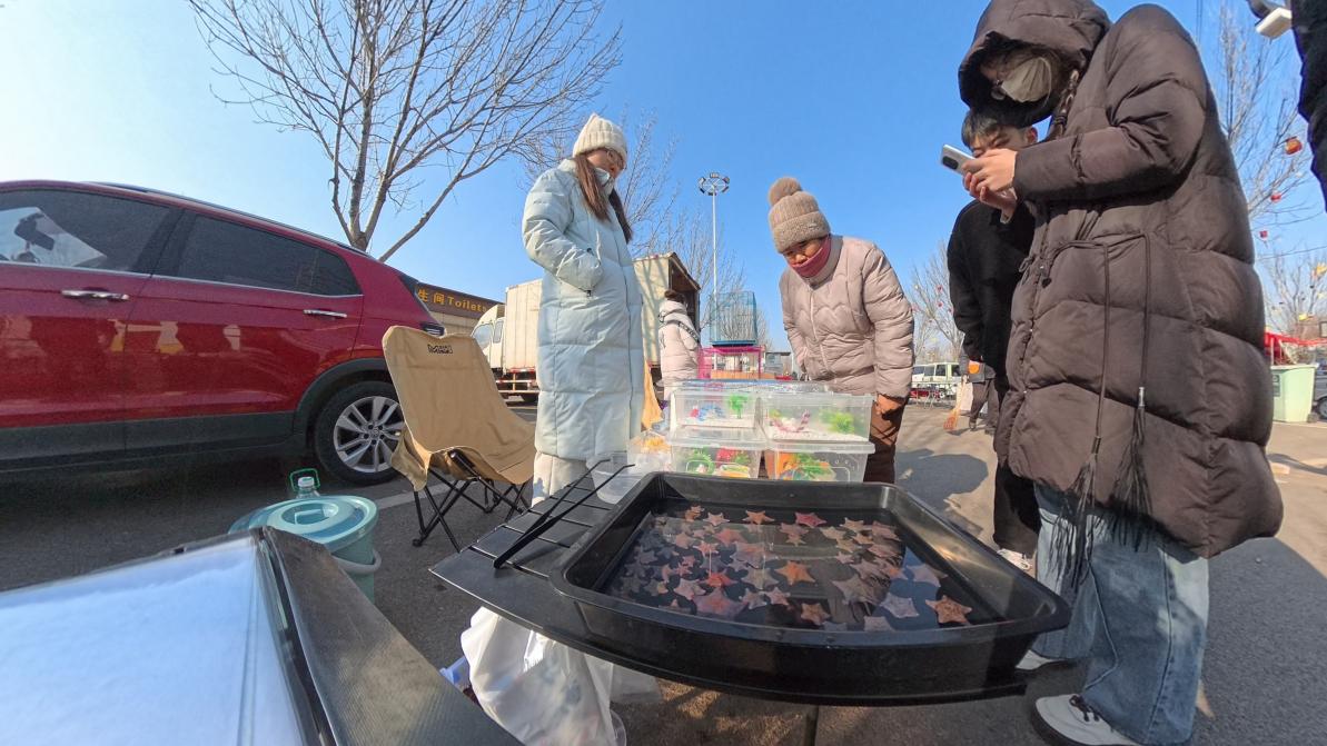 宠物海星摊位前顾客在挑选宠物。人民网记者 王天乐摄