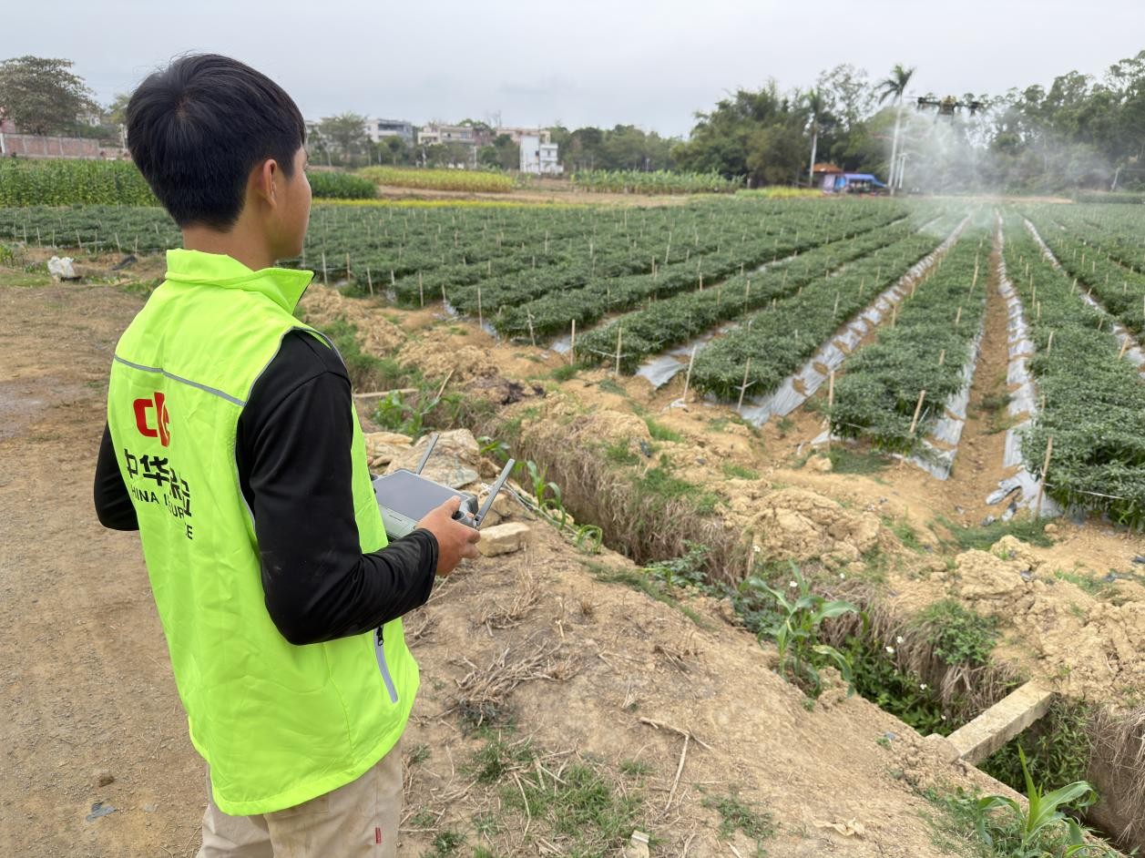 中华财险广东分公司投入无人机开展飞防作业。（机构供图